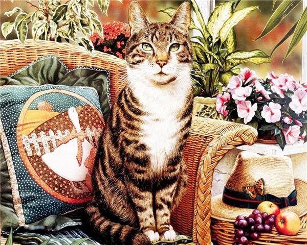 Кошки - кошки - оригинал