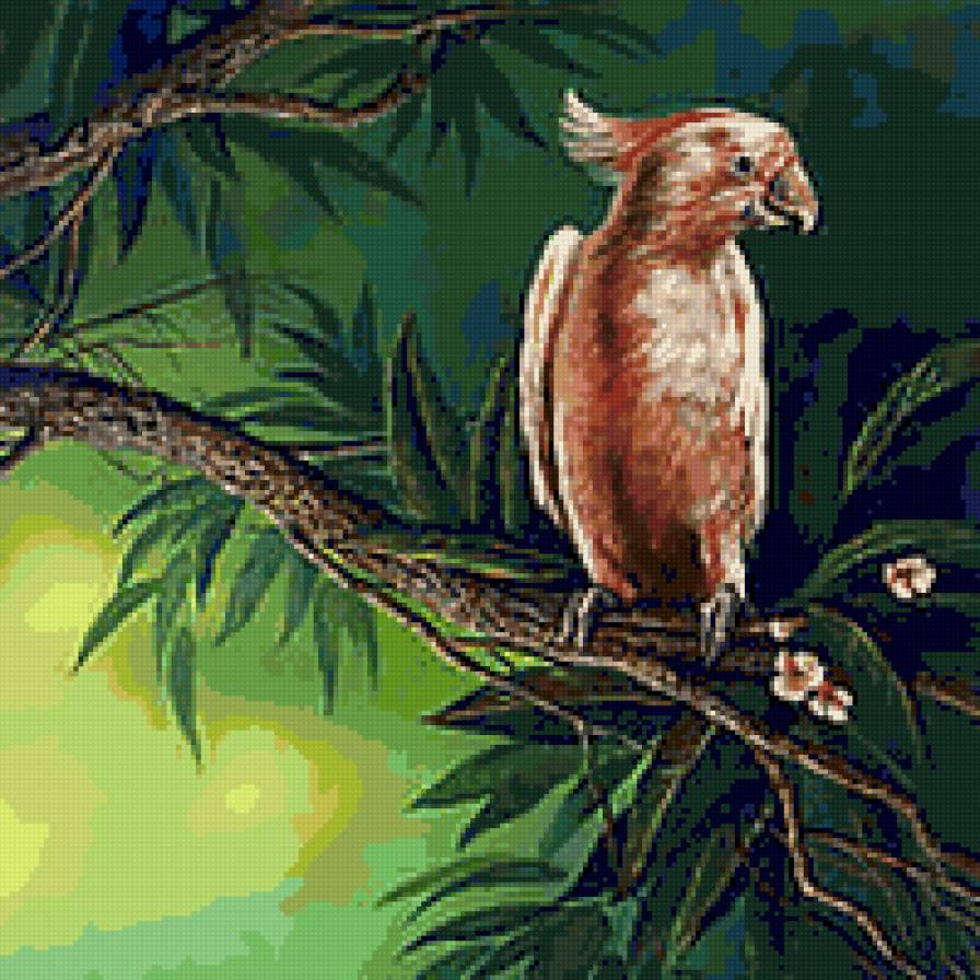 popugai - popugai - предпросмотр