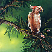 Схема вышивки «popugai»