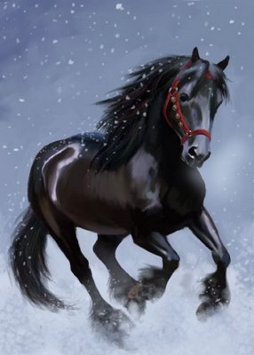 фриз - лошади, фриз, животные - оригинал