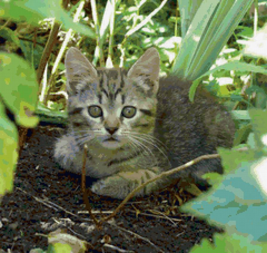 №37754 - предпросмотр