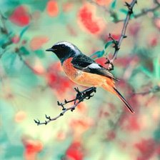 Схема вышивки «Разное»