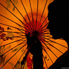 Схема вышивки «№38113»