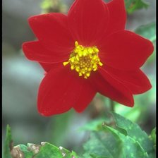 Схема вышивки «№38384»