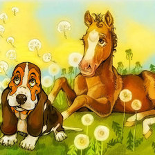 веселые картинки