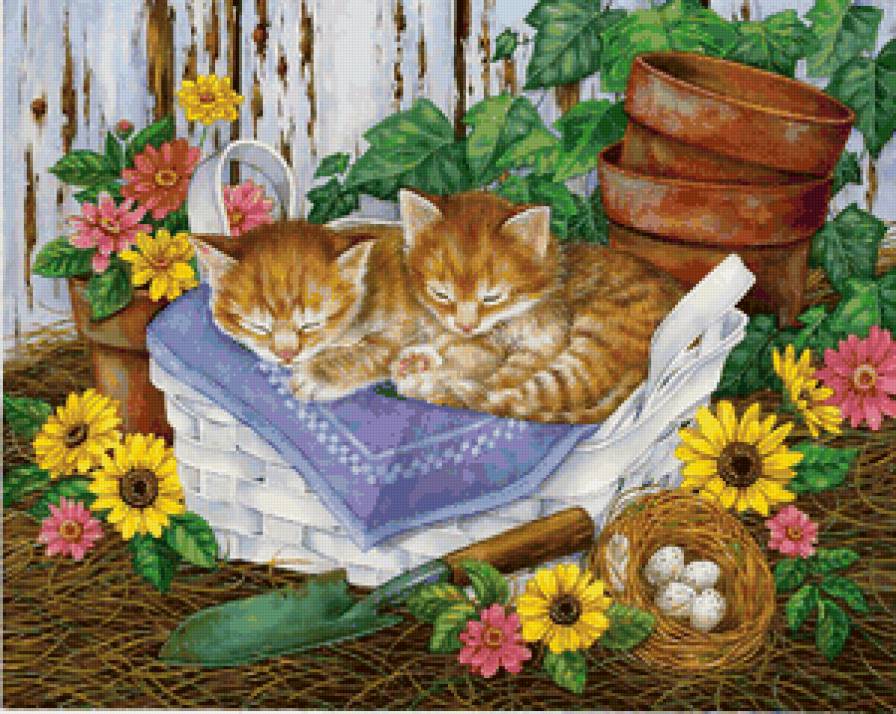 коты - предпросмотр