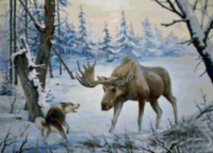 Встреча в лесу - в лесу - предпросмотр