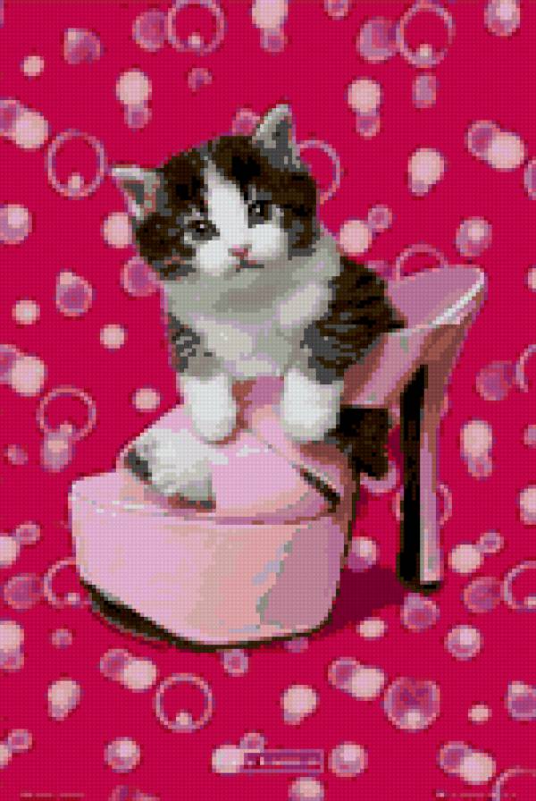 модница - предпросмотр