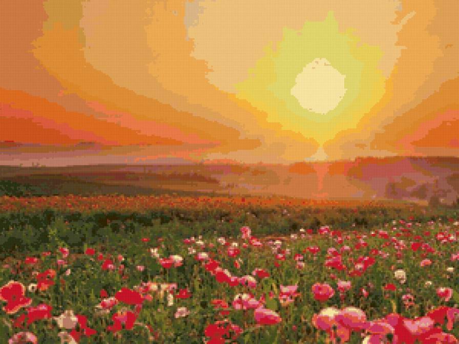 Маки - пейзаж, цветы, маки, живопись - предпросмотр