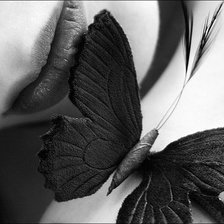 Схема вышивки «девушка с бабочкой»