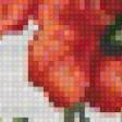 Предпросмотр схемы вышивки «Мак» (№39042)