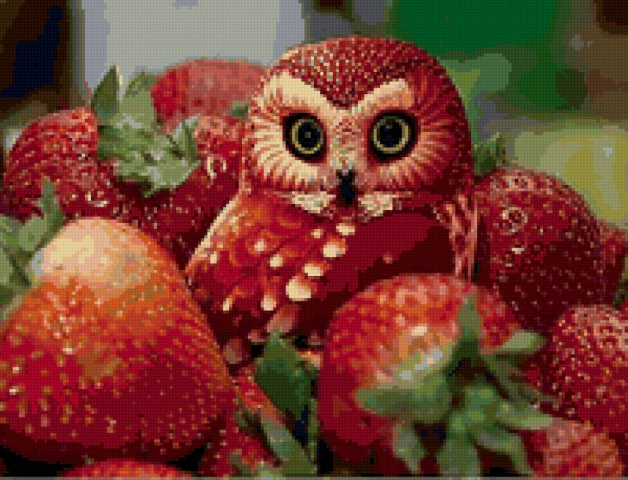 клубничная сова - предпросмотр