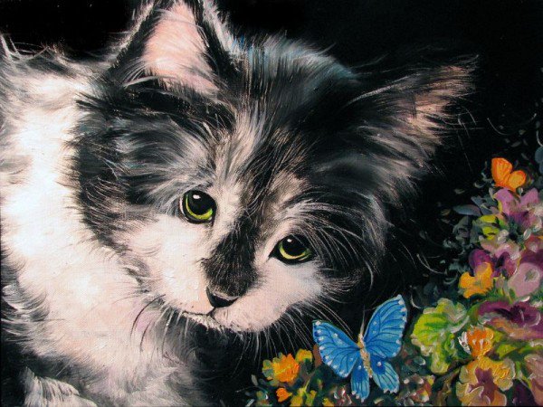 №39250 - кот - оригинал