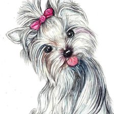 Схема вышивки «Йоркширский терьер»