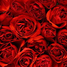 Схема вышивки «№39523»