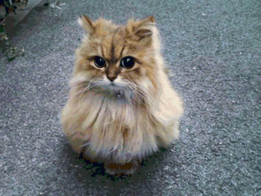 №39531 - подушка, кошка, картина, животные - предпросмотр