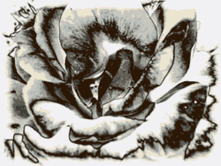 roza - предпросмотр