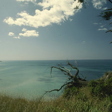 Схема вышивки «природа9»