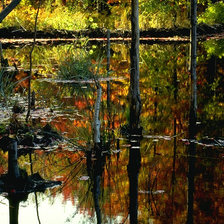 Схема вышивки «осень»