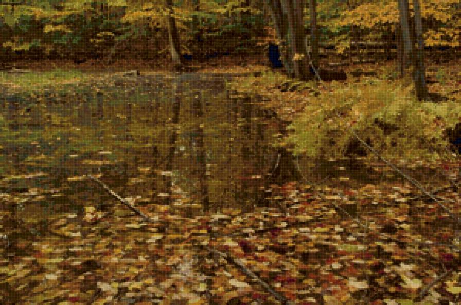 осень2 - природа - предпросмотр