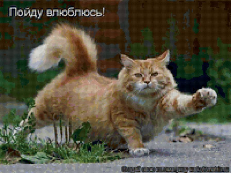 кот2 - животные, котята, кошки, природа - предпросмотр