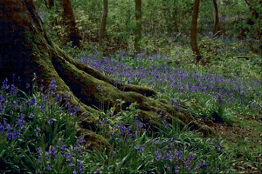 природа11 - природа - предпросмотр