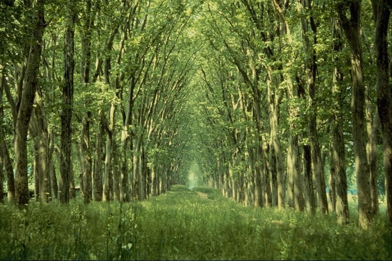 природа12 - природа - оригинал