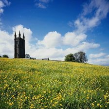 Схема вышивки «природа15»