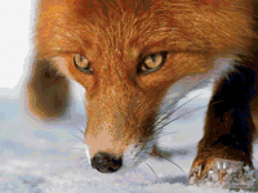 Лисочка - предпросмотр