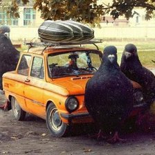 Схема вышивки «Сборы в дорогу)»