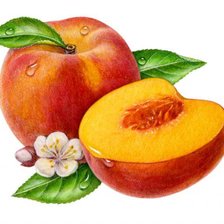 Схема вышивки «Персики»