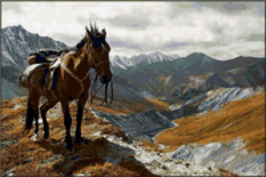 Лошадь (Алтай) - предпросмотр