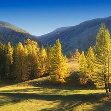 Схема вышивки «Осенняя пора»