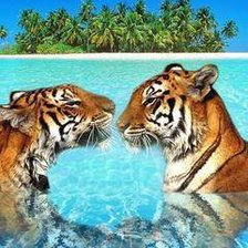 Схема вышивки «43»