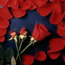 Схема вышивки «№39889»