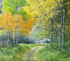 Схема вышивки «лесок»