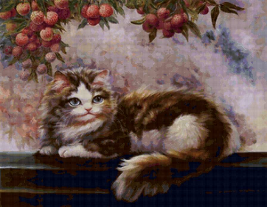 коты - предпросмотр