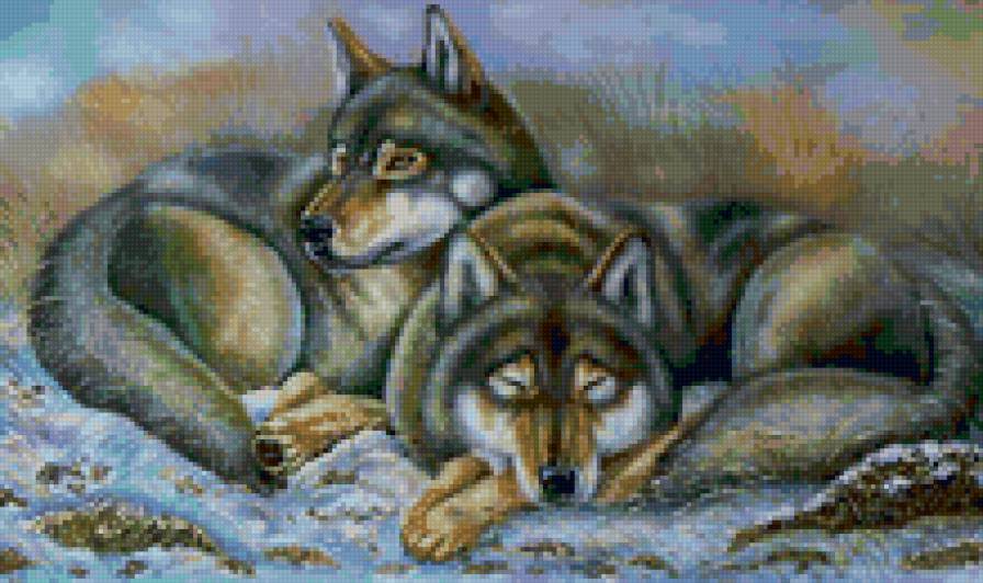 Волчья семья1 - предпросмотр