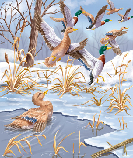 серая шейка - оригинал