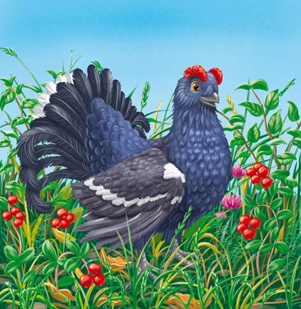 тетерев - оригинал