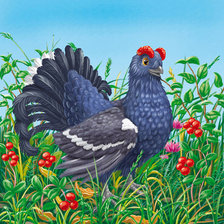 Схема вышивки «тетерев»