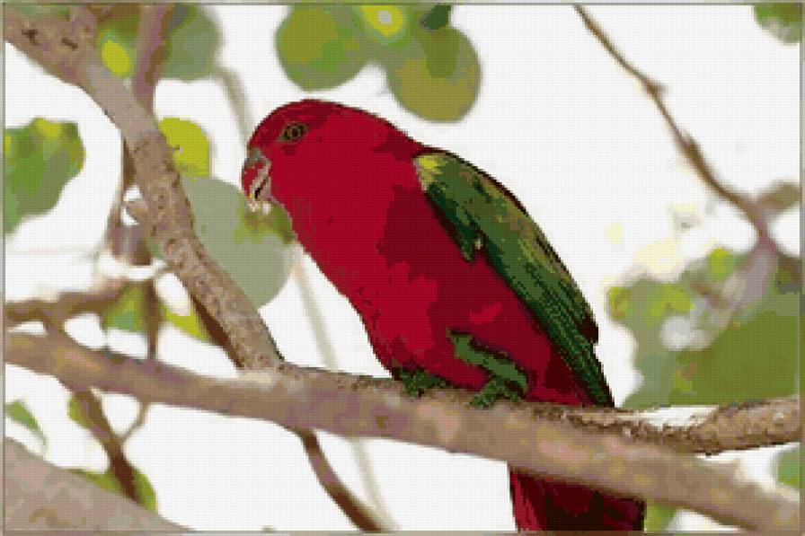 №40480 - попугаи, птицы, картина - предпросмотр