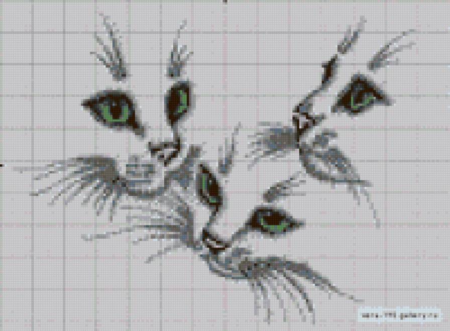 котя - предпросмотр