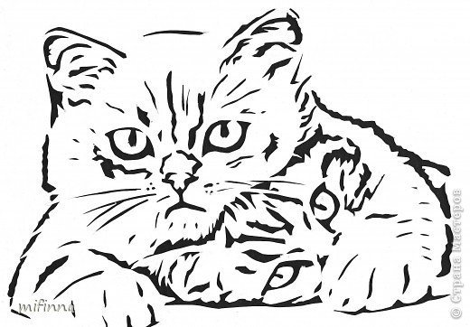 котя - оригинал