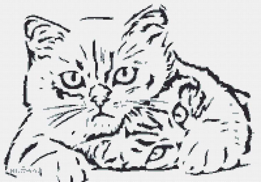 котя - предпросмотр