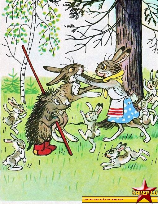 зайцы - оригинал
