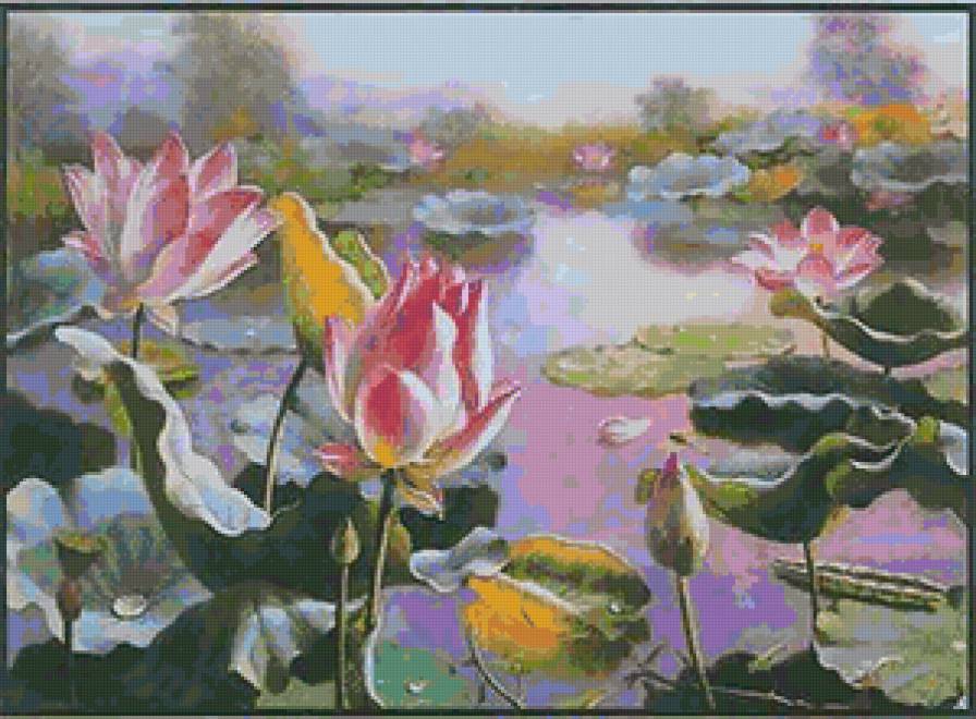 лотосы на пруду - лилии, лотос, пруд - предпросмотр