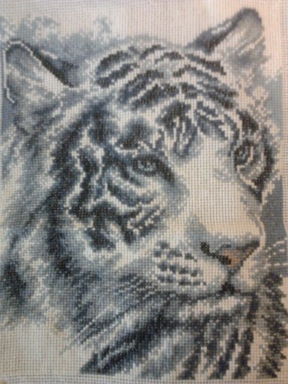 Тигр - животные - оригинал