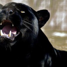 Схема вышивки «№40959»