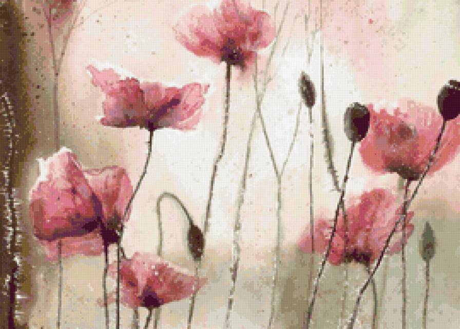 розовый сон - природа, цветы - предпросмотр